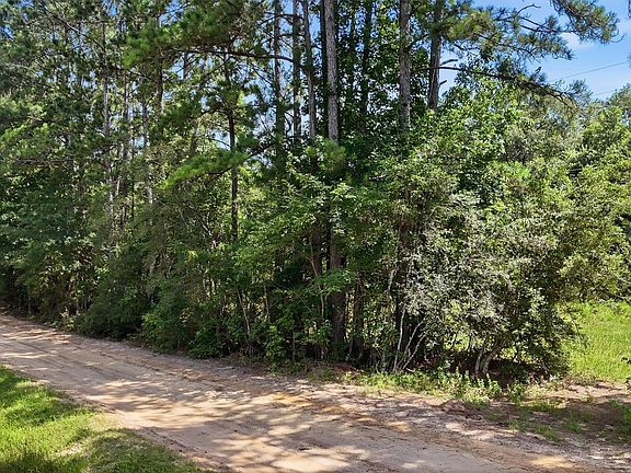 3rd image of 325 Natchez Rd