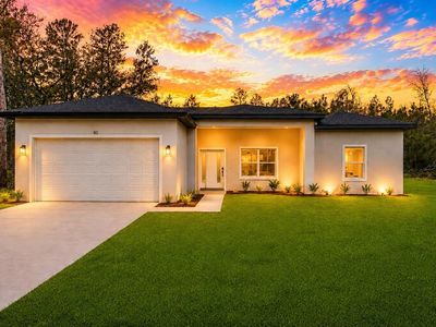 80 MALAUKA PASS COURSE, Ocklawaha, FL, 32179