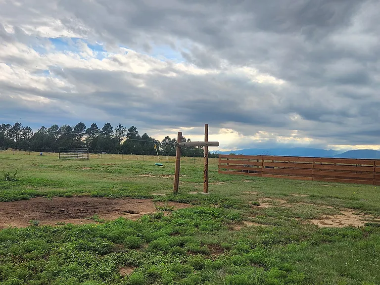 16690 Rabbit Track Trl — Photo 8