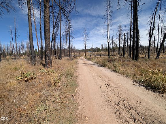 3rd image of Black Buck Ln #25