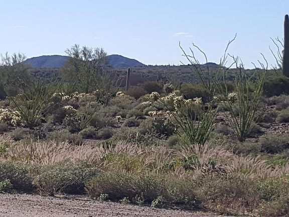 Spur Cross & Hondabow 3