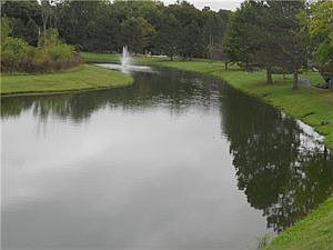 4th image of 195 Bridle Path