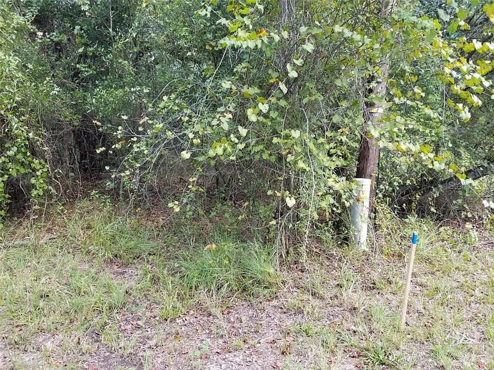 2nd image of 33009 Round Table Rd