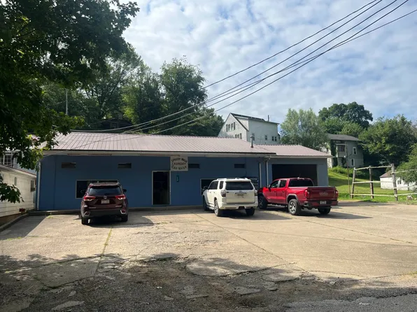 113 River St, Grantsville, WV 26147