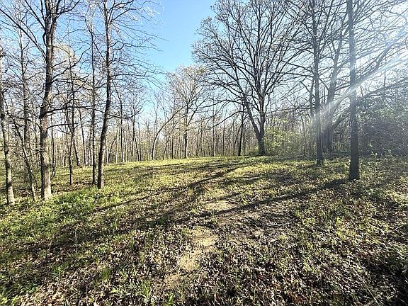 4th image of 0 County Road 2750