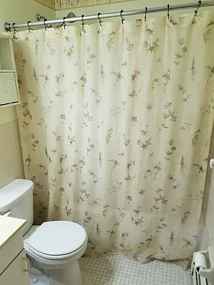 Rented by Carollo Real Estate | media 16