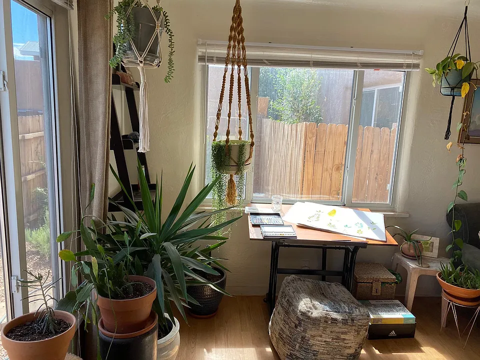 great natural light for plants