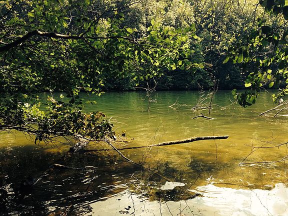 5th image of Emerald Pointe Circle #Lot 21