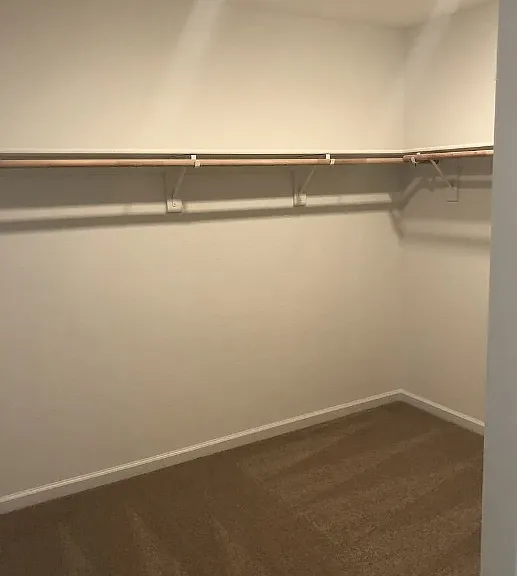 2557 Lacey Ann Ave — Photo 12