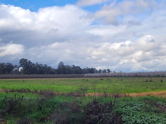 4th image of 51090 County Road 4