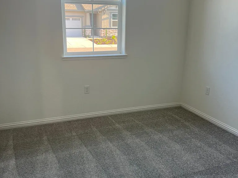 3137 Barnowl Way — Photo 18
