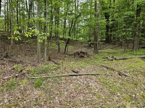 Six Shillings Rd Lot 42, Du Bois, PA 15801