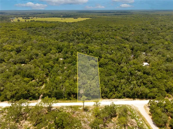 7353 Riverview Dr Lot 41, Webster, FL 33597