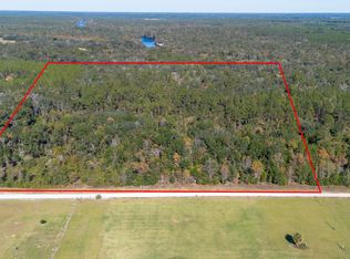 0 NE Holly Rd, Branford, FL 32008