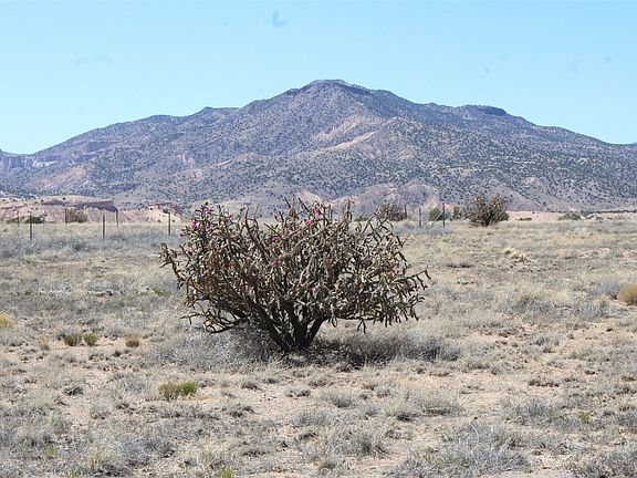 4th image of Bridle Trl