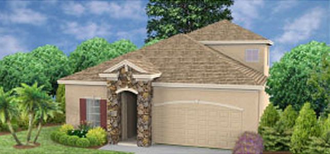 Elevation Image 1.