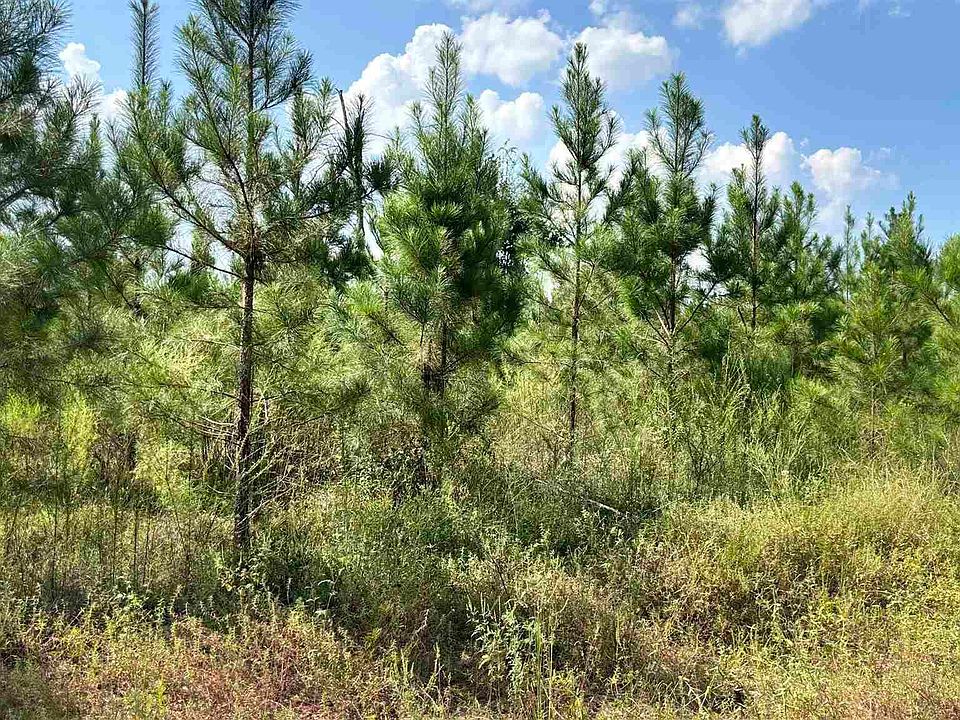 1st image of LOT 88 Posie Forest Rd