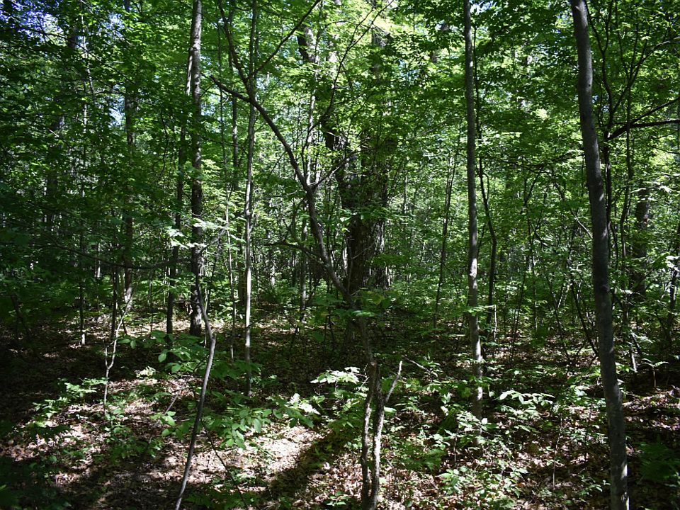 2nd image of Clements Rd