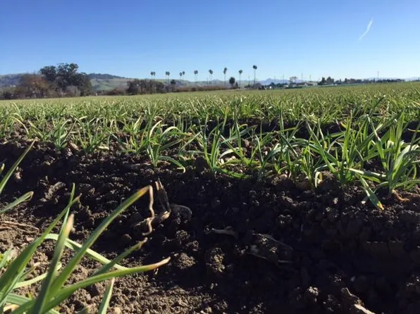 2760 Ferguson Rd, Gilroy, CA 95020