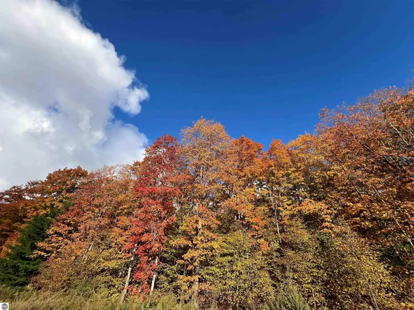 Old Horton Bay Rd, Boyne City, MI 49712