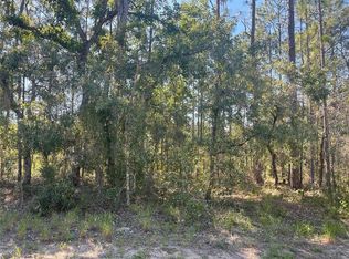 6 Boxleaf Ct #5, Homosassa, FL 34446