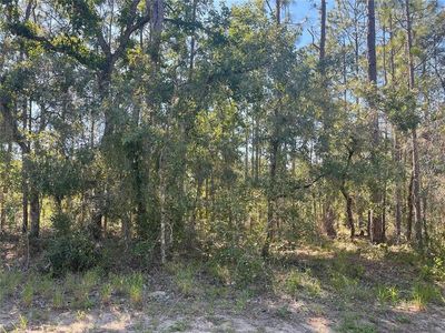 6 Boxleaf Ct #5, Homosassa, FL, 34446