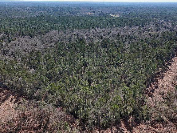 3rd image of Pete Hickman Rd