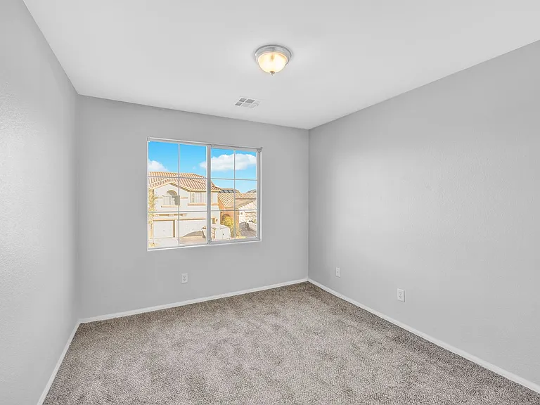 1009 Black Olive St — Photo 16
