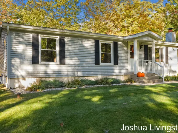 8673 Loveless Dr, Howard City, MI 49329