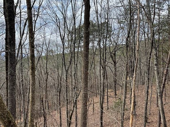 3rd image of 246 Rock Creek Rd Lot 6