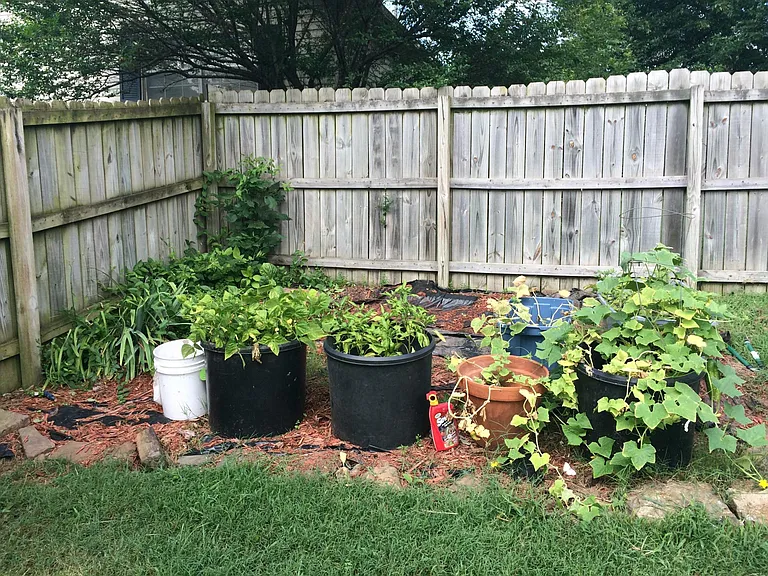 large garden area