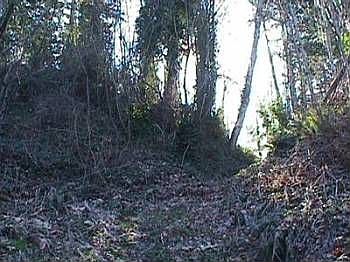 5th image of 6606 Sunset View Dr NW