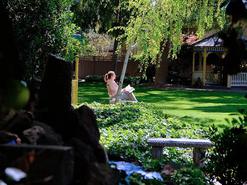 Reading in the beautiful, large, grassy courtyard lined by tall shade trees.