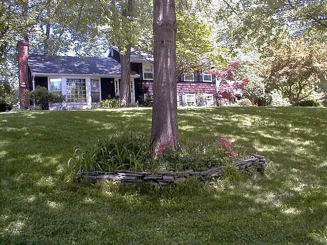 Hill top front yard