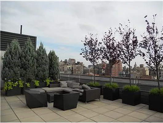 Rented by Douglas Elliman | media 26