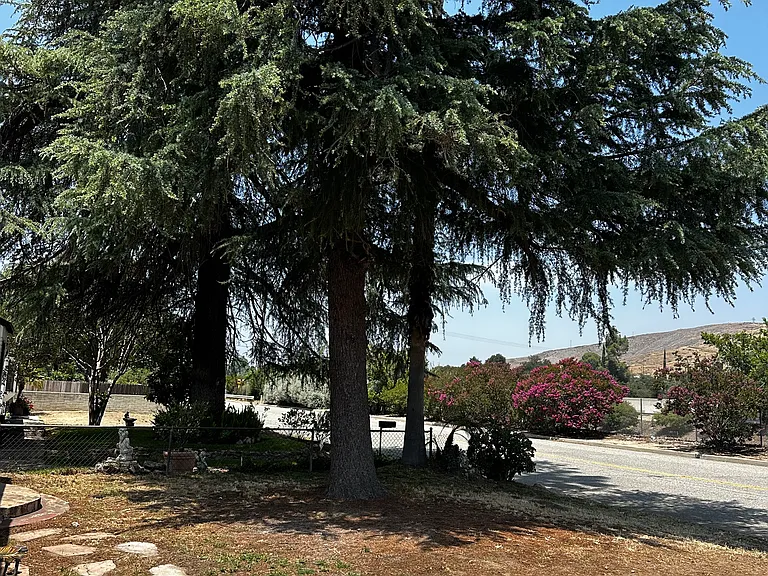 857 Colima Rd — Photo 9