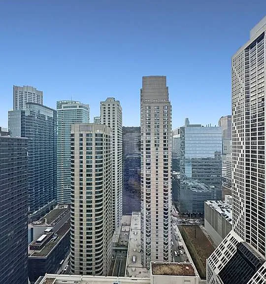 600 N Lake Shore Dr #3202 — Photo 17