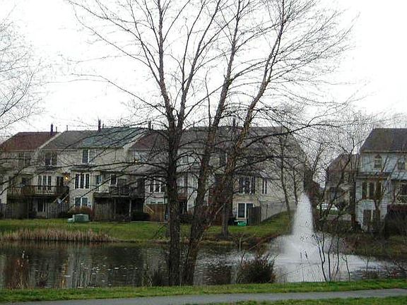 View from rear of home