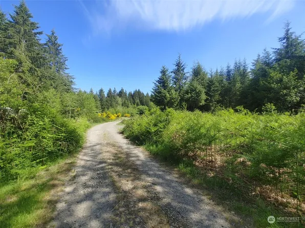 999 Dowans Creek Road, Forks, WA 98331