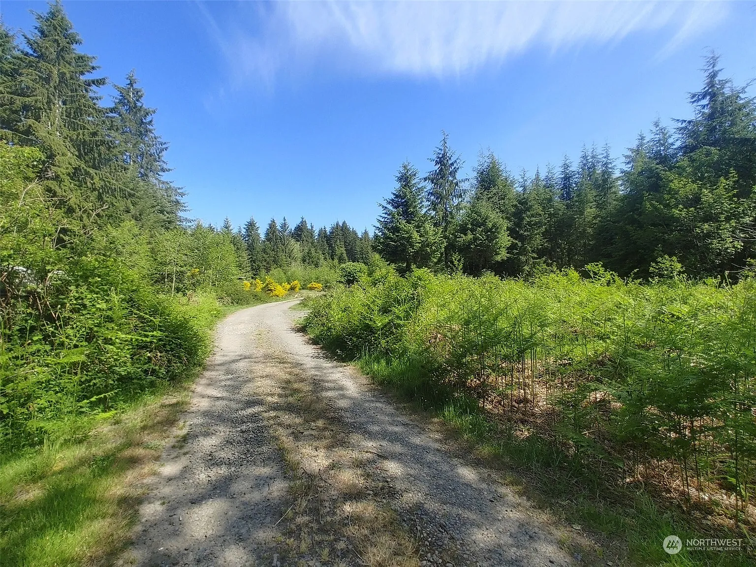 999 Dowans Creek Road photo 1