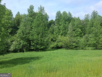 570 Gay Conn, Greenville, GA, 30222