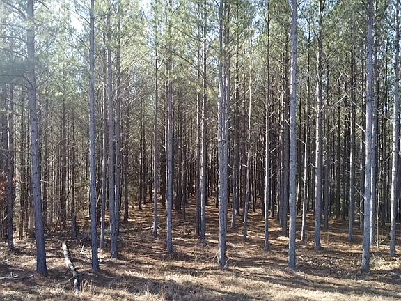 5th image of 533 Center Ridge Dr Lot 7
