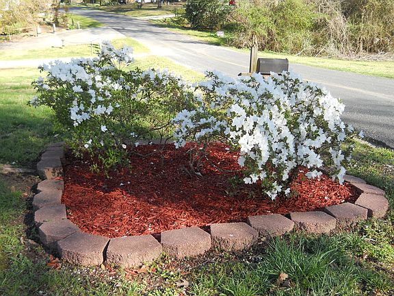 5th image of 228 Lakeshore Dr