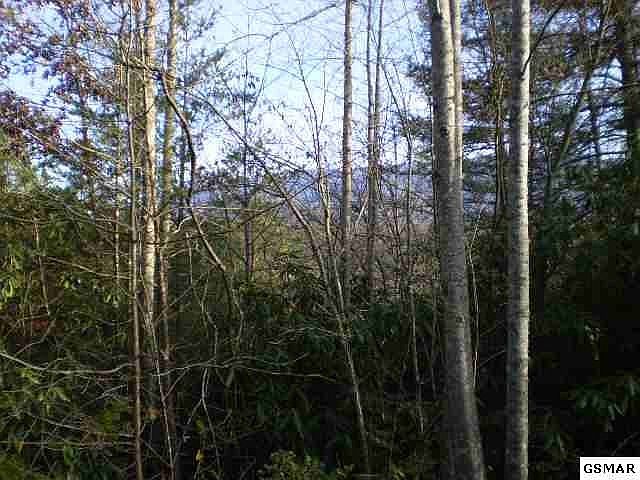 1st image of 3 Branam Hollow Rd Lot 3