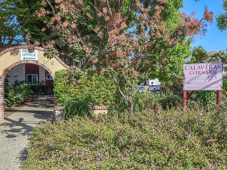 Driftwood Apartments — Photo 6