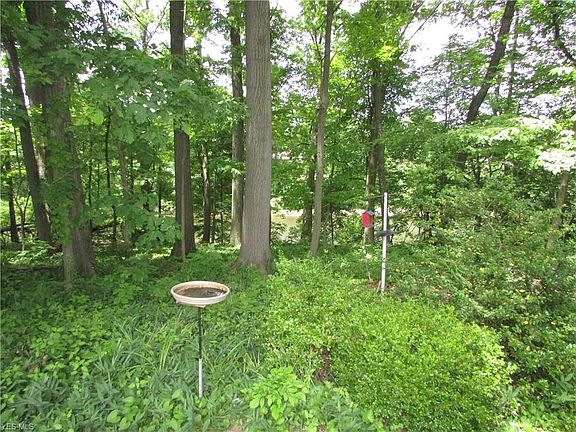 4th image of 893 Gaylord Grove Rd