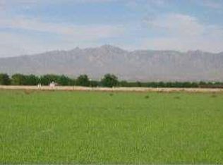 0 Westside Rd, Anthony, TX 79821