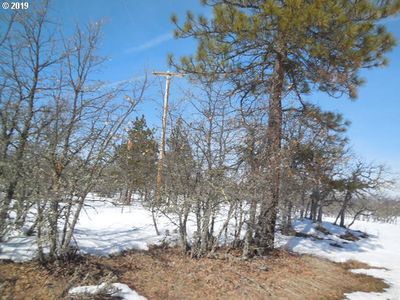 Brengo Rd, Goldendale, WA, 98620