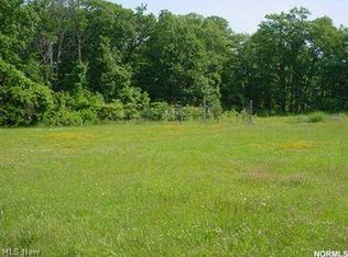 35SL Christian Ave, Painesville, OH 44077