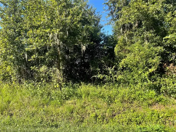 Pevetty Dr #7, Plant City, FL 33563
